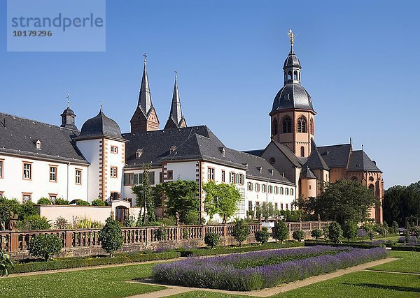 Konventgarten mit Basilika St. Marcellinus und Petrus  ehemalige Benediktinerabtei Seligenstadt  Hessen  Deutschland  Europa