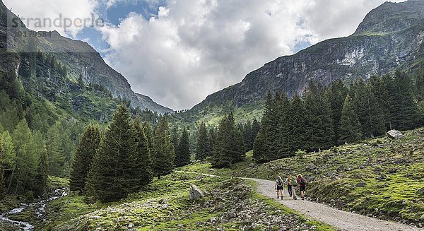 Wanderer  Rohrmoos-Untertal  Steiermark  Österreich  Europa