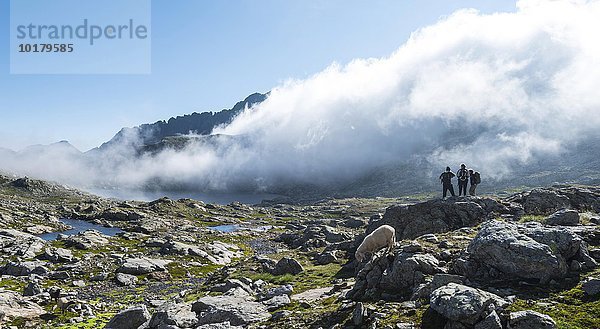 Silhouette dreier Wanderer vor Wolken  kleine Bergseen  Oberer Klaffersee  Klafferkessel  Greifenberg 2618m  Rohrmoos-Untertal  Schladminger Tauern  Alpen  Steiermark  Österreich  Europa