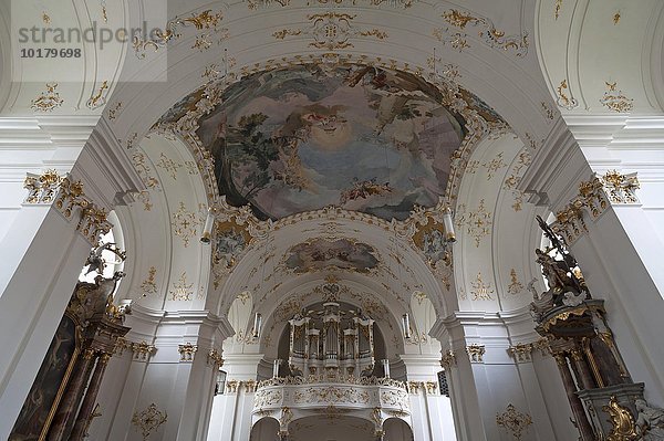 Deckenfresko und Orgelempore der spätbarocken Klosterkirche  Schäftlarn  Oberbayern  Deutschland  Europa