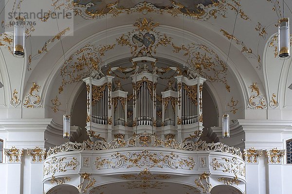 Orgelempore in der spätbarocken Klosterkirche  Schäftlarn  Oberbayern  Deutschland  Europa