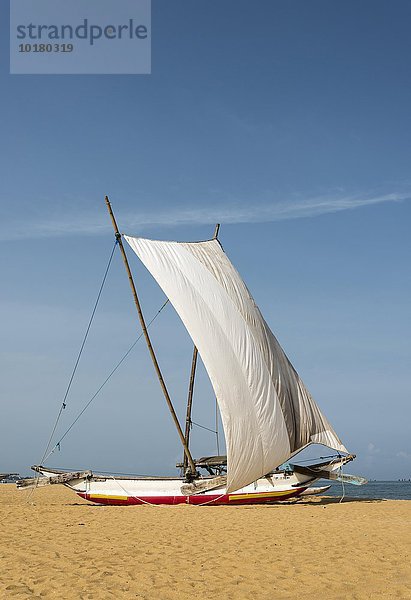 Traditionelle Katamaran Fischerboot  aka oruva  mit einem weißen Segel am Strand von Negombo  Sri Lanka  Asien