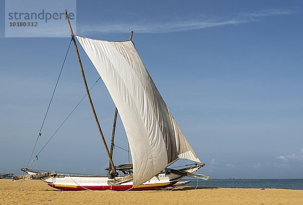 Traditionelles Katamaran Fischerboot  aka oruva  mit einem weißen Segel am Strand von Negombo  Sri Lanka  Asien
