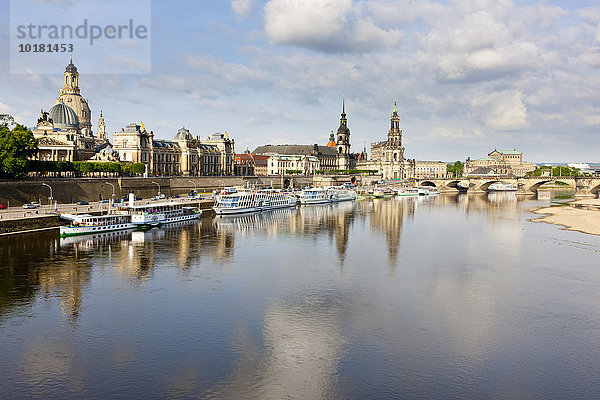 Passagierschiffe auf der Elbe vor der Skyline von Dresden mit Oper und Kathedrale  Sachsen  Deutschland  Europa