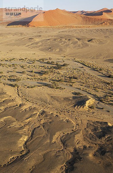 Luftbild  Trockengebiete mit dem ausgetrockneten Flussbett des Tsauchab Trockenflusses am Rande der Namib-Wüste  asphaltierte Straße zwischen Sesriem und Sossusvlei  Kameldornbäume (Acacia erioloba)  Namib-Naukluft-Nationalpark  Namibia  Afrika