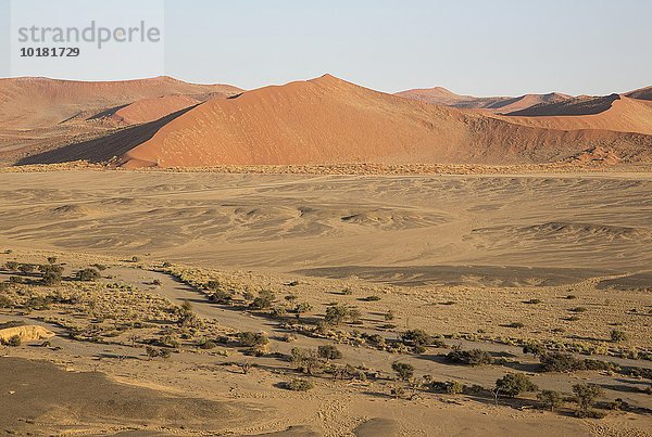 Luftbild  Trockengebiete mit dem ausgetrockneten Flussbett des Tsauchab Trockenflusses am Rande der Namib-Wüste  asphaltierte Straße zwischen Sesriem und Sossusvlei  Kameldornbäume (Acacia erioloba)  Namib-Naukluft-Nationalpark  Namibia  Afrika