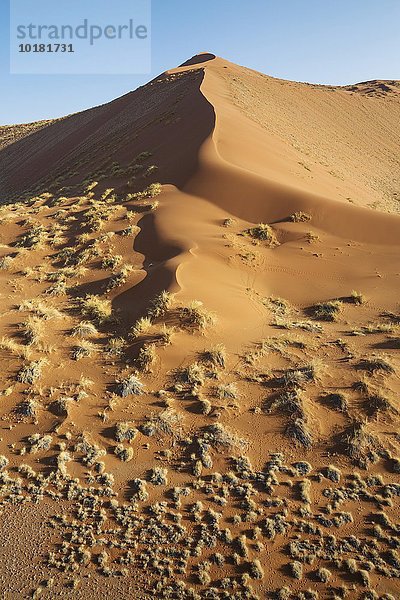 Luftbild  grasbewachsene Sanddüne am Rande der Namib-Wüste  Namib-Naukluft-Nationalpark  Namibia  Afrika