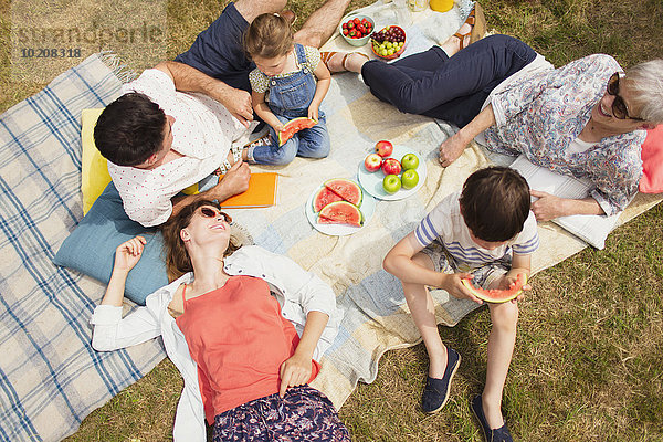 Overhead-Ansicht Mehrgenerationen-Familie genießt Sommerpicknick