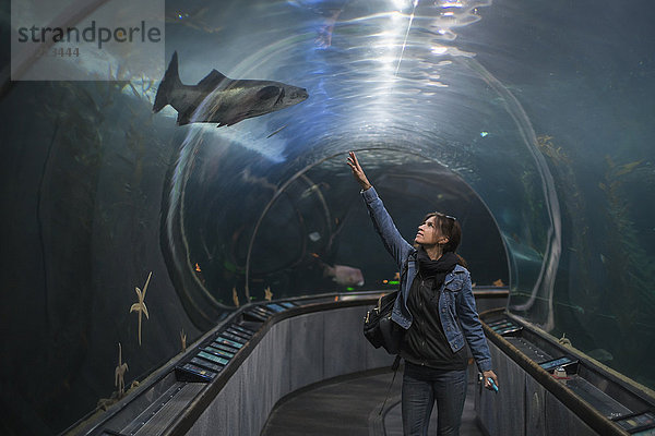 Europäer Frau Bewunderung Tunnel Hai