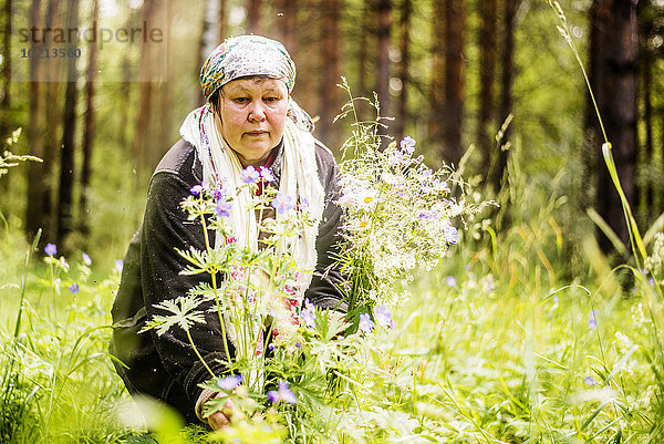 Europäer Frau geselliges Beisammensein Wald Wildblume