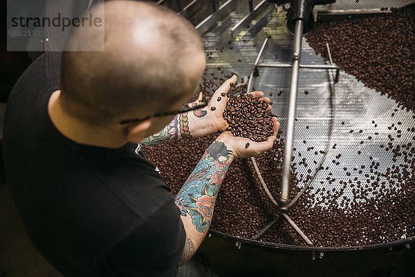 Kaffeebohne Europäer Prüfung Maschine Kaffee Bohne