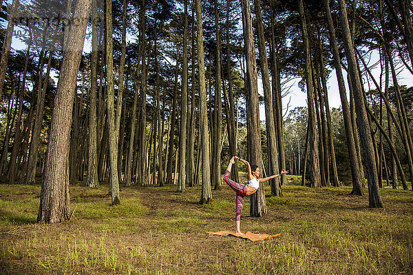 Frau Hispanier Wald üben Yoga