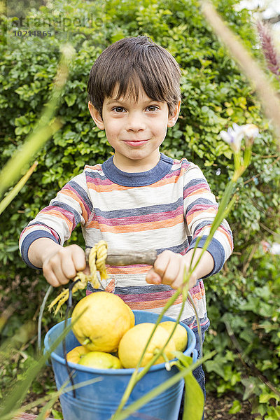 zeigen Junge - Person Gemüse mischen Eimer Garten Mixed