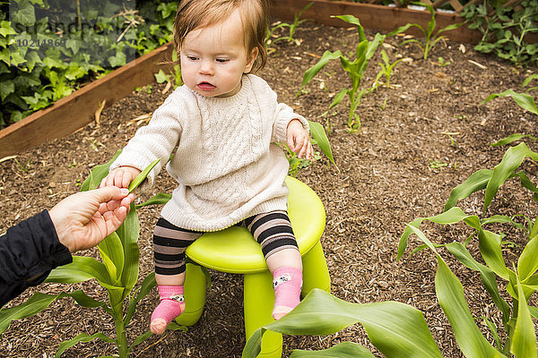 Europäer geben Gemüse Garten Tochter Mutter - Mensch