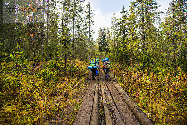 Europäer gehen Weg Wald wandern