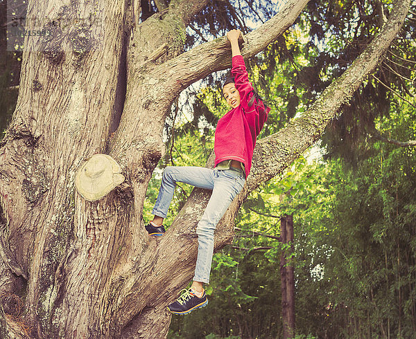 Baum mischen Mädchen klettern Mixed