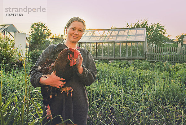 Europäer halten Garten Bauer Huhn Gallus gallus domesticus