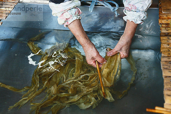 Papier Tradition arbeiten Studioaufnahme Handwerker japanisch