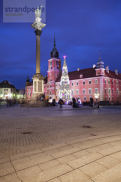 Polen  Warschau  Blick auf den Schlossplatz mit Sigismundsäule und beleuchtetem Weihnachtsbaum bei Nacht