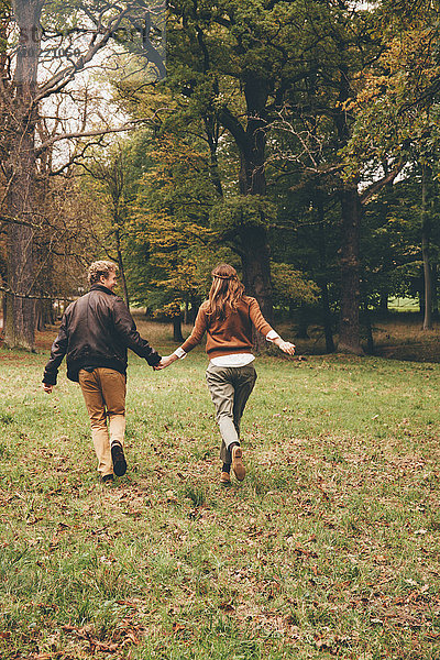 Rückansicht eines verliebten jungen Paares  das Händchen hält und in einem herbstlichen Park rennt