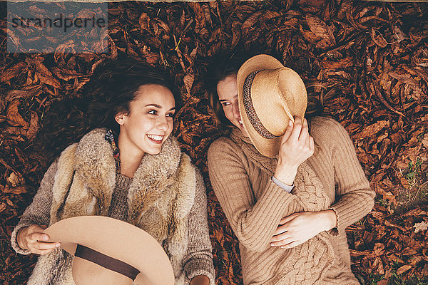 Zwei lächelnde Freundinnen liegen nebeneinander auf Herbstblättern in einem Park.