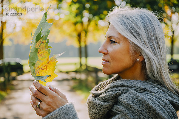Frau mit grauem Haar in grauem Schal mit Herbstblatt