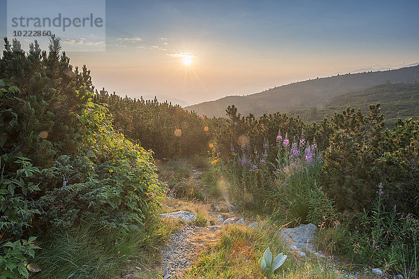Bulgarien  Rila-Gebirge  Sonnenaufgang