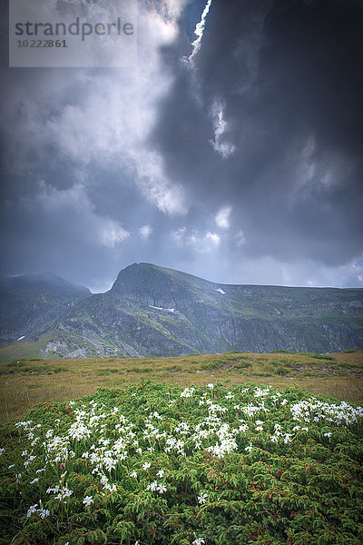 Bulgarien  Rila-Gebirge  Landschaft