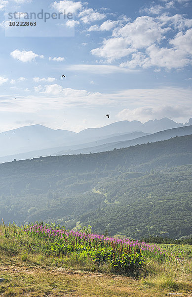 Bulgarien  Rila-Gebirge  Landschaft