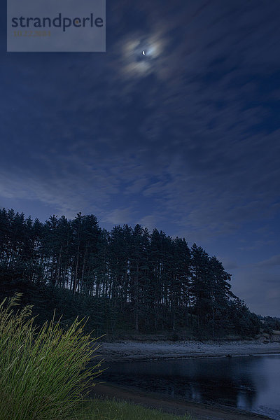 Bulgarien  Rhodopen  Wald am Ufer des Dospat Stausees bei Mondschein bei Nacht