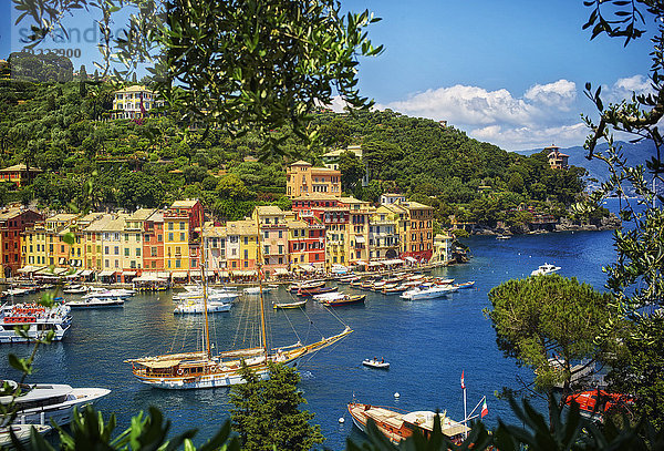 Italien  Ligurien  Portofino  Boote und Häuserreihen