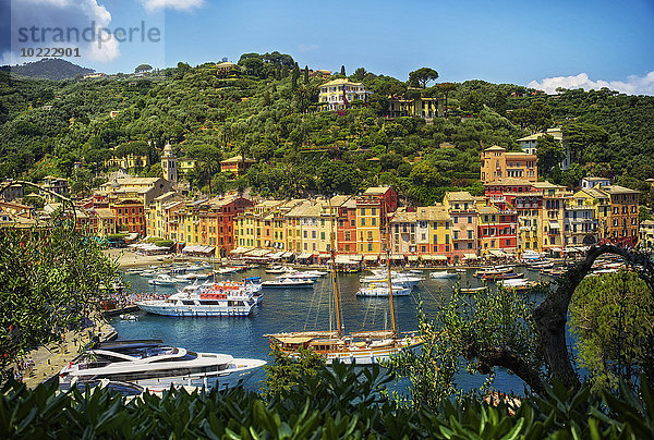 Italien  Ligurien  Portofino  Boote und Häuserreihen