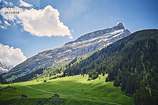 Schweiz  Graubünden  Sufers  Alpen  Almen mit Almhütten  Nähe San Bernardino-Pass