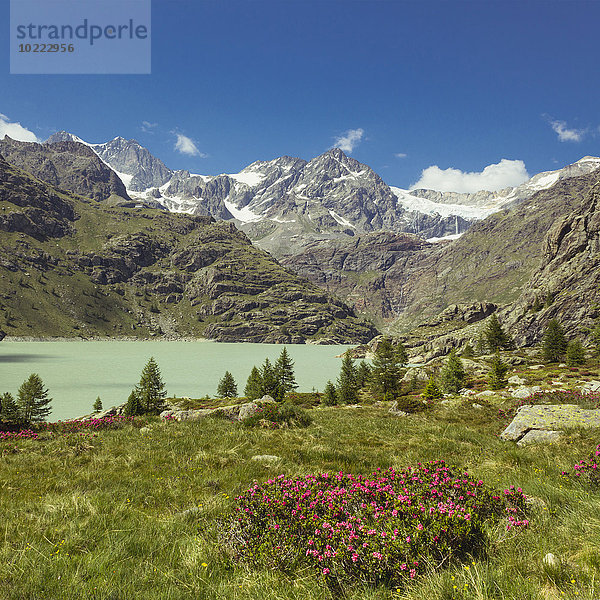 Italien  Lombardei  See bei Chiesa in Valmalenco  Sasso Rosso mit Gletscher