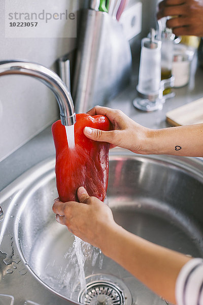 Frauenhände reinigen rote Paprika mit fließendem Wasser