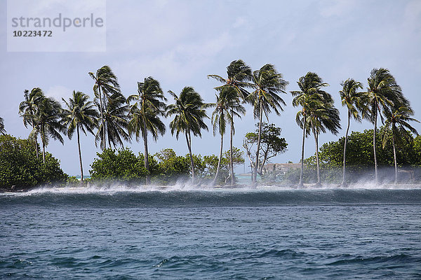 Malediven  Süd Male Atoll  die an einem stürmischen Tag an der Küste ankommen.