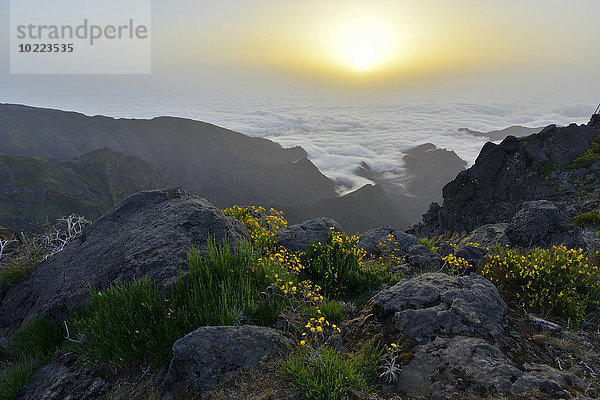 Portugal  Madeira  Sonnenaufgang