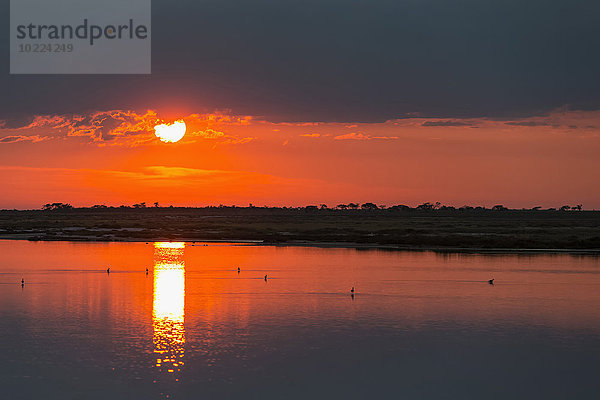 Namibia  Etosha Nationalpark  Sonnenaufgang bei Fisher's Pan