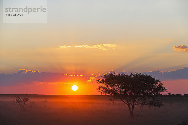 Namibia  Etosha Nationalpark  Sonnenuntergang