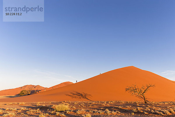 Namibia  Namib Wüste  Namib Naukluft Nationalpark  Wandern auf der Wüstendüne