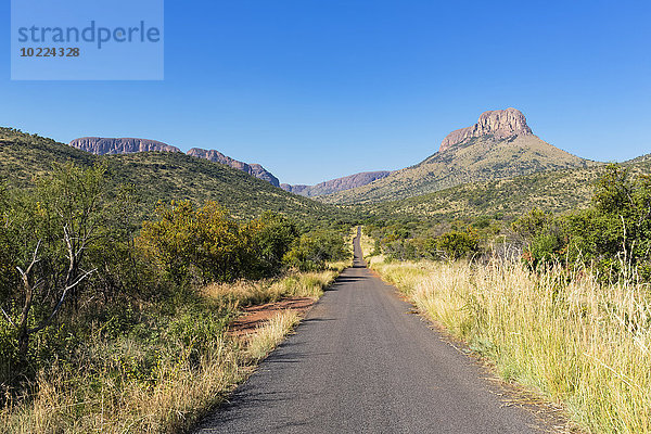 Afrika  Südafrika  Waterberg  Straße im Marakele Nationalpark