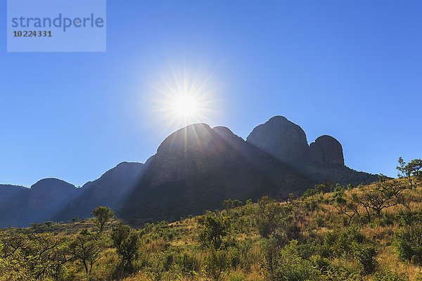 Afrika  Südafrika  Marakele Nationalpark  Waterberg-Gebirge gegen die Sonne