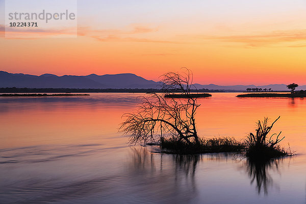 Simbabwe  Urungwe District  Mana Pools Nationalpark  Sonnenuntergang am Sambesi