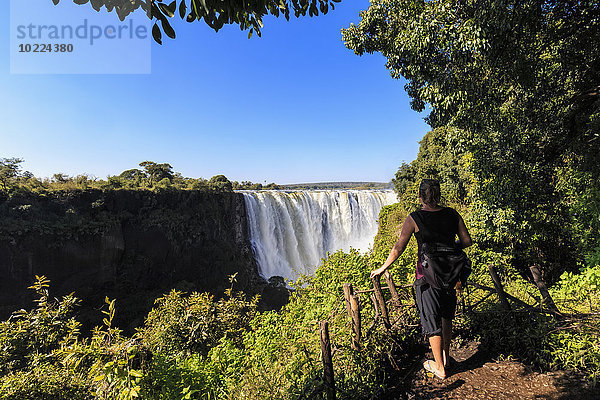 Südliches Afrika  Simbabwe  Tourist mit Blick auf die Victoriafälle
