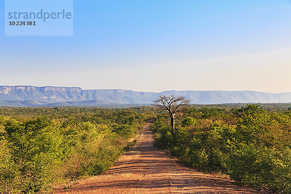 Südliches Afrika  Simbabwe  Feldweg durch die Landschaft