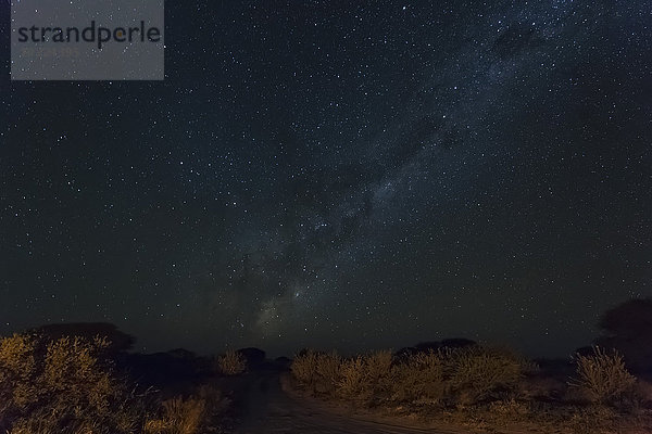 Botswana  Kalahari  Central Kalahari Game Reserve  Sternenhimmel mit Milchstraße