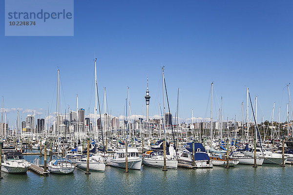 Neuseeland  Auckland  Westhaven Boat Harbour  City Skyline mit Sky Tower im Hintergrund  Central Business Disctrict