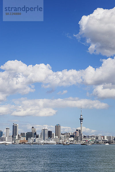Neuseeland  Auckland  Skyline  Stadtzentrum  Central Business District  Sky Tower