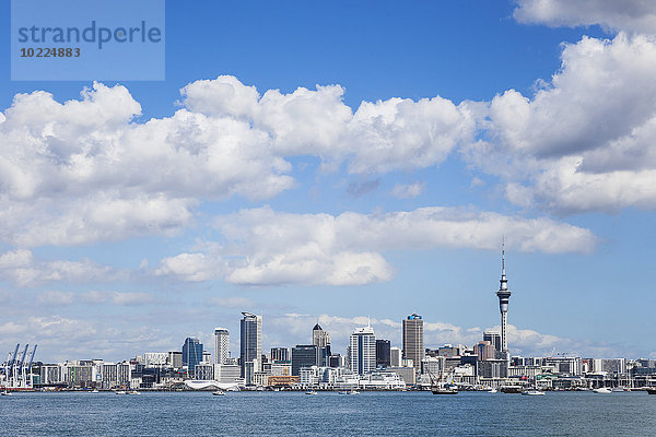 Neuseeland  Auckland  Skyline  Stadtzentrum  Central Business District