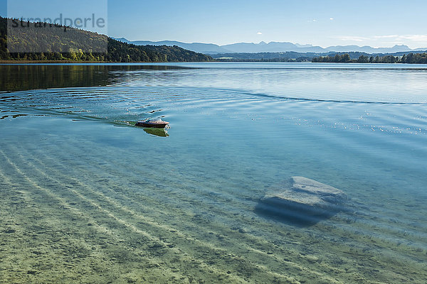 Deutschland  Bayern  Tengling  Waginger See  Modellboot auf dem Wasser